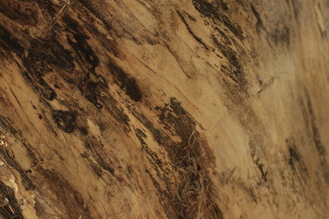 texture, abstract, stone, grunge, old, surface, wall, brown, rock, rough, textured, pattern, metal, dirty, red, nature, closeup, granite, natural, orange, sand, material, vintage