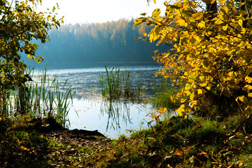 Fototapeta na wymiar See im Herbst
