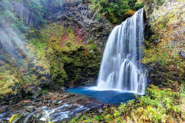 Obraz premium 秋の善五郎の滝