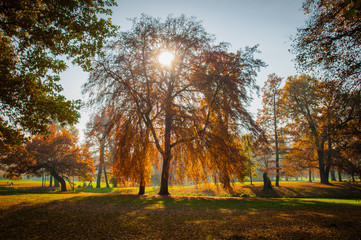 Goldener Herbst