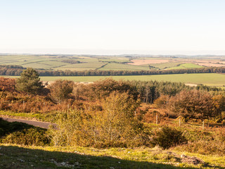 hardy monument tall building old special england dorset black down countryside nature landscape