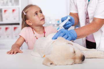 Young girl at the veterinary doctor with her puppy dog getting a vaccine