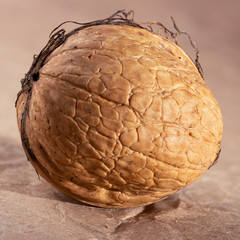 Walnut, in the shell, against the background of yellow paper, close-up