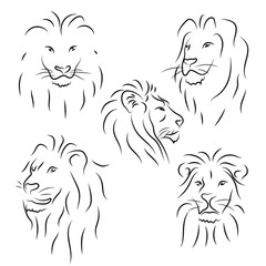 Set of black line lions on white background. Vector graphic icons animal.