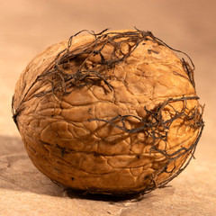 Walnut, in the shell, against the background of yellow paper, close-up