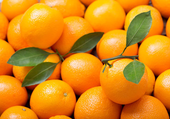fresh orange fruits as background