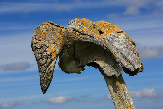 Walknochen vor blauem Himmel