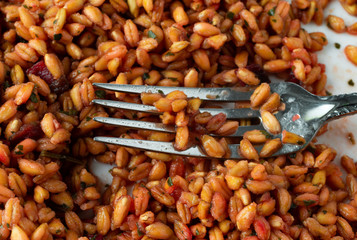 Closeup of cooked farro with beets and spinach on a white plate with a fork in the food.