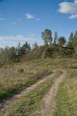 Fototapeta na wymiar Birch on the hill. Belarusian nature