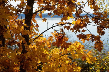 beautiful colors of autumn