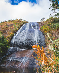 waterfall in the forest
