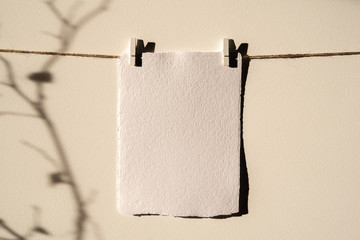 Empty card mockup, ,Wall Art Mockup,Print hanger Mockup. Wall and branch shadows in sunligjhts