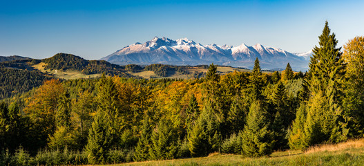 Morning panorama of snowy Tatra Mountains over colorful autumn forest, Poland