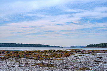 Wide view of the seaweed covered mud flats at Searsport, Maine at low tide with emphasis on a bright sky.