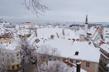 Winter Tallinn