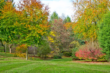 Bodenham Arboretum autumn colours Worcestershire