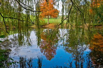 Lake reflections Bodenham Arboretum autumn colours Worcestershire