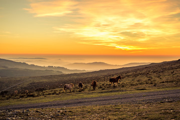 sunset in the mountains