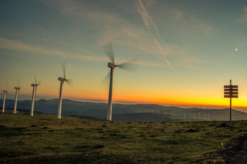 wind turbines at sunset