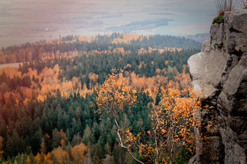View at fall season time forest in South Poland, Beskidy mountains