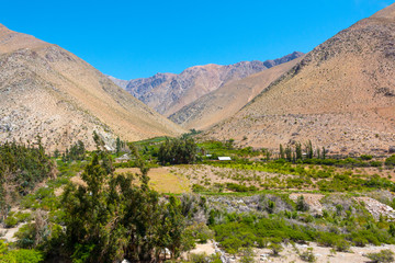 Fototapeta na wymiar Paisaje del Valle del Elqui Chile