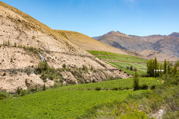 Paisaje del Valle del Elqui Chile