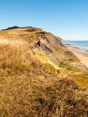 jurassic coast Charmouth dorset cliffs rocks landscape nature tourist people holiday destination fun recreation ocean