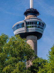Bottom perspective of Euromast tower against clear blue sky, seen among green foliage of trees in the public park in Rotterdam city, South Holland in the Netherlands