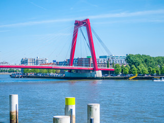 Red cable-stayed Willems bridge over New Maas river against blue sky, cityscape with Rotterdam city buildings in background, green areas with trees, sunny day in South Holland, Netherlands