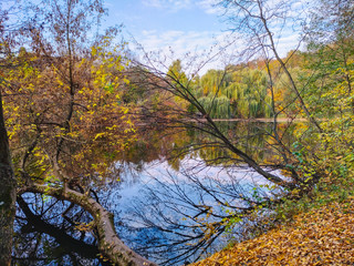 autumn in the park