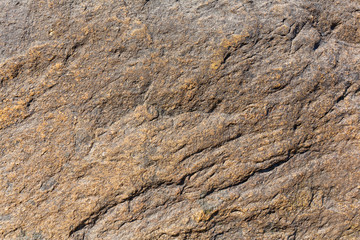 Close view of the rough surface of a large boulder in the morning light.