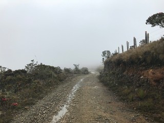 caminos de la montaña