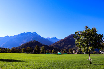 Fototapeta premium landscape in the mountains
