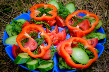 Fresh vegetables on natural green grass. Different mix of fresh vegetables from the garden. Healthy food. Salad of cucumbers, tomatoes, peppers and dill.