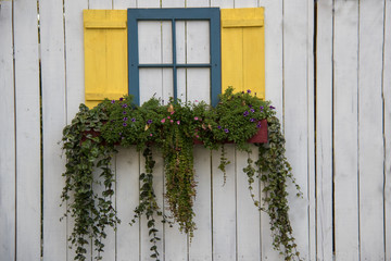 window planter colorful