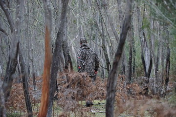 Hunting Deer Rut