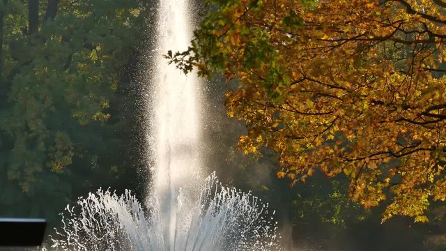 Golden hour mood: a water fountain on Carola See in Dresden, Germany