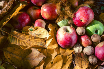 Healthy food background autum leaves, grapes, apples, walnut, flowers, earthenware jug for wine, a...