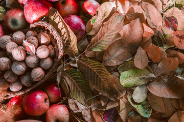 Healthy food background autum leaves, grapes, apples, walnut, flowers, earthenware jug for wine, a set of vitamins, health, fruits, harvest. Thanksgiving day concept. Top view with copy space