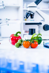 Chemical Laboratory of the Food supply . Food in laboratory, dna modify .GMO Genetically modified food in lab .