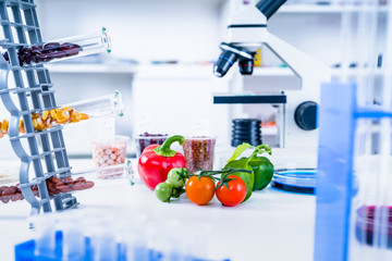 Chemical Laboratory of the Food supply . Food in laboratory, dna modify .GMO Genetically modified food in lab - 229268110