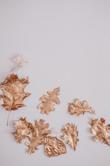 Autumn rose gold colored leaves, creative flatlay on white background. Copy space for text