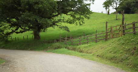 Obraz premium Defocused background of gravel road in a countryside landscape for compositing