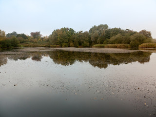 clouds over lake morning sunrise wivenhoe special scene nature landscape trees autumn fall