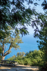 A beautiful day in forest and sea in Rmilat forest in Tangier