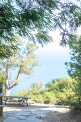 A beautiful day in forest and sea in Rmilat forest in Tangier