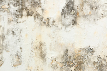 abstract arid brinks wook floor land 