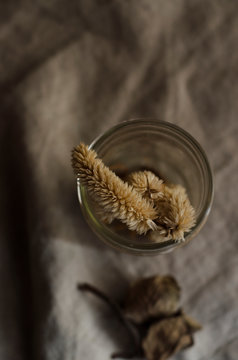 dried botanicals