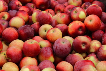 Crate of various red apples clumped as a texture