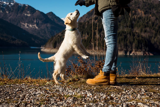 Woman with her dog outdoor